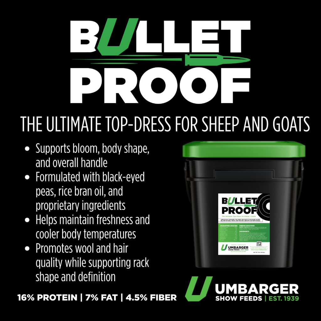Bulletproof