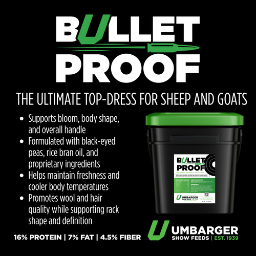 Bulletproof
