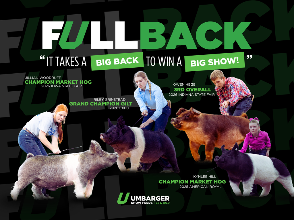 Fullback
