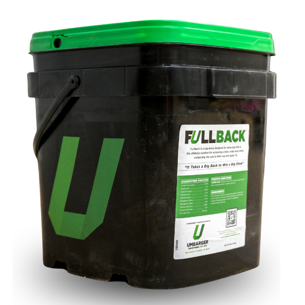 Fullback